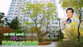 #조명섭 노래🎧와 함께하는👍 대전 지족동 느티나무💚 / KBS 대전 방송 | ZUM TV