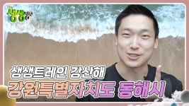 생생트레인 강산해 : 강원특별자치도 동해시 | KBS 240918 방송 | ZUM TV
