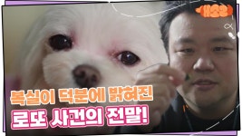 복실이 덕분에 밝혀진 로또 사건의 전말! ＂나온다 나온다!＂ | KBS 241023 방송 | ZUM TV