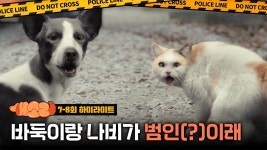 [7-8회 하이라이트] 바둑이랑 나비가 범인(?)이래 | KBS 방송 | ZUM TV