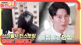 놓친 예능 따라잡기(신상출시 편스토랑 / 동물은 훌륭하다) | KBS 241212 방송 | ZUM TV