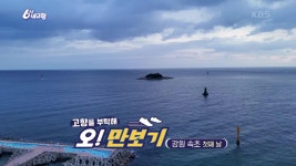 [고향을 부탁해 오!만보기] 강원 속초 첫째 날 | KBS 241218 방송 | ZUM TV