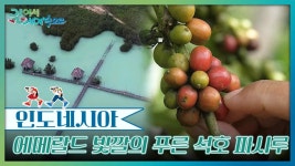 에메랄드 빛깔의 푸른 석호 파시루 비루와 커피농장 | KBS 250201 방송 | ZUM TV