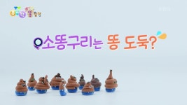 [뿌지직 똥 탐정] 소똥구리는 똥 도둑?! | KBS 250211 방송 | ZUM TV [뿌지직 똥 탐정] 소똥구리는 똥 도둑?!  | KBS 250211 방송 | ZUM TV