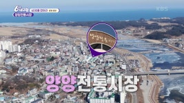 [60초를 잡아라] 양양전통시장 | KBS 250214 방송 | ZUM TV