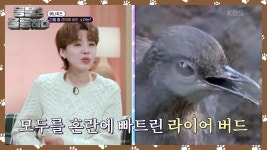 [애니퀴즈] 모두를 혼란에 빠트린 라이어 버드 | KBS 250310 방송 | ZUM TV