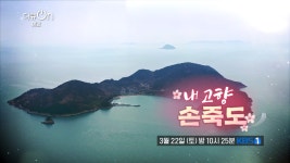 [예고] 내 고향, 손죽도 | KBS 방송 | ZUM TV