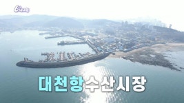 [60초를 잡아라] 대천항수산시장 | KBS 250321 방송 | ZUM TV