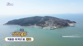 [섬섬옥수] 겨울을 이겨낸 봄, 풍도 | KBS 250411 방송 | ZUM TV