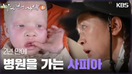 2년 만에 병원을 가는 사피아 | KBS 250420 방송 | ZUM TV 2년 만에 병원을 가는 사피아   | KBS 250420 방송 | ZUM TV