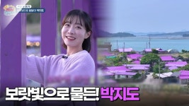 [주말엔 여기!] 보랏빛으로 물든! 박지도 ‘퍼플 마을’💜 | KBS 250503 방송 | ZUM TV