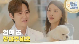 ＂얘 엄마 좀 찾아주세요＂강아지 주인을 찾아주기 위해 동물 병원에 가는 유인영 [독수리 5형제를 부탁해!] | KBS 250518 방송 | ZUM TV
