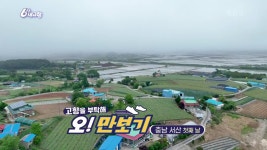 [고향을 부탁해 오!만보기] 충남 서산 [첫째 날] | KBS 250528 방송 | ZUM TV