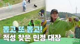＂뽑고 또 뽑고!🌿＂ 잡초 뽑다 적성 찾은 이민정 | KBS 250613 방송 | ZUM TV