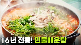 장사의 신 : 16년 전통의 맛, 민물매운탕 | KBS 250623 방송 | ZUM TV