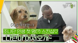 나단아 어서오개~ 조나단 인생 첫 멍(?)스킨십♡ | KBS 250912 방송 | ZUM TV