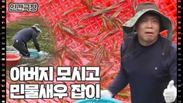 [돌담은 사랑이어라] (11/15) [인간극장/Screening Humanity] | KBS 251009 방송 | ZUM TV