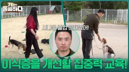 천방지축 시나몬의 담임 선생님, 비밀병기 권혁필의 교육! | KBS 251030 방송 | ZUM TV