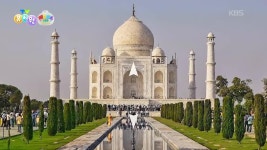 [왜요왜요 만두와 세계여행] 건물, 정원, 연못까지 완벽하게 대칭으로 만들어진 타지마할! | KBS 251030 방송 | ZUM TV