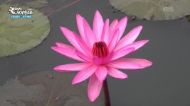 광활한 크기의 농한 쿰파와피 호수 | KBS 251126 방송 | ZUM TV