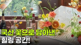 [알면 보물] 미각&시각&후각을 모두 깨워주는 힐링 공간 | KBS 251211 방송 | ZUM TV