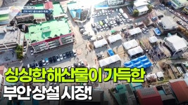 [매튜가 간다] 싱싱한 해산물이 가득한 부안 상설 시장! | KBS 251212 방송 | ZUM TV