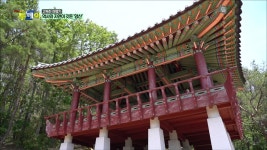 고독한 여행가 - 역사와 자연이 깃든 ′′양산′′ | ZUM TV