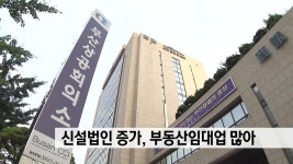 코로나-19에도 부산 신설법인 늘어..부동산임대업 | ZUM TV