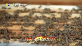 무사의 전원일기 - 거창 남상면 임불마을 2편 : TV줌 무사의 전원일기 - 거창 남상면 임불마을 2편