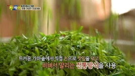 무사의 전원일기 - 하동 야생차 모암마을 | ZUM TV