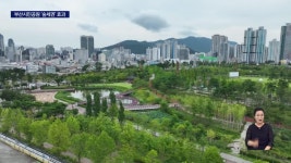 9년차 부산시민공원, 주거지로 각광 | ZUM TV