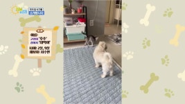우리 집 식구를 소개합니다 - 5편 | ZUM TV