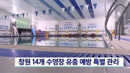 창원 14개 수영장 유충 예방 특별 관리 | ZUM TV