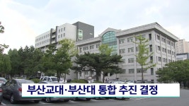 부산교대, 부산대 통합 추진 결정 | ZUM TV