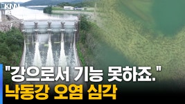 안동댐 물 대구에 공급...낙동강 중하류 수질 악화? | ZUM TV