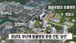 경상대 부산에 동물병원 분원 건립 승인 | ZUM TV