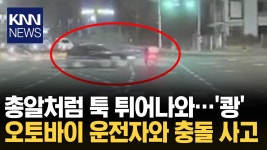 신호 무시하고 교차로 질주하더니.../ KNN | ZUM TV