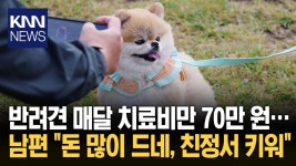 월급 300만 원…개한테 70만 원 남편 ＂돈 많이 드네, 친정 맡겨＂ / KNN | ZUM TV