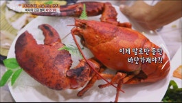 바다의 고급 별미 바닷가재 먹으면 물회,모둠회가 무한리필! | ZUM TV