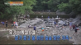 숲에서 노닐다, 힐링의 숲 | ZUM TV