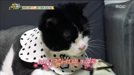 엄마의 정성으로 나날이 날렵해지고 있는 양순이! | ZUM TV