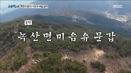 녹산면미음유문갑 | ZUM TV