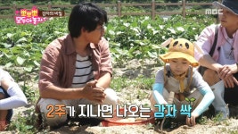 감자를 심는 방법에 대해 알아봐요! | ZUM TV