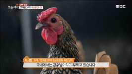 [대박청춘] 관상용입니닭~연 매출이 어마어마~ | ZUM TV