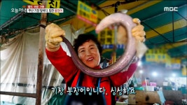 부산 기장 앞바다, 힘찬 붕장어! | ZUM TV