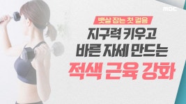 뱃살 잡는 첫 걸음! 지구력 키우고 바른 자세 만드는 적색 근육 강화 | ZUM TV