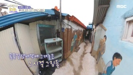 인천 강화군 교동도! 정겨운 마을 향긋한 봄 내음 | ZUM TV