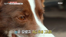 스릴 만점! 똑 부러지는 광순이의 열렬한 RC카 사랑... | ZUM TV