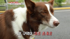 멈출 수 없는 질주본능! RC카 마니아 광순이의 등장! | ZUM TV 멈출 수 없는 질주본능!  RC카 마니아 광순이의 등장! | ZUM TV