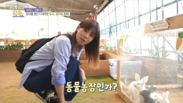 아이들이 동물들과 교감할 수 있는 동물 치유 농장~! | ZUM TV